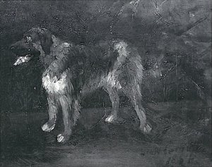 Studi di cani da Lovis Corinth